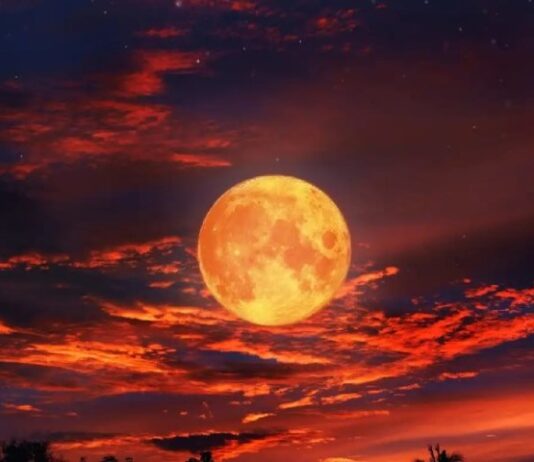 La Luna se teñirá de rojo: a qué hora será el eclipse lunar de agosto 2026