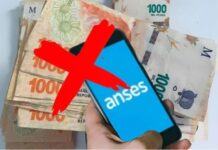 Chau bono de Anses: esta es la razón por la cual no lo cobraste en agosto