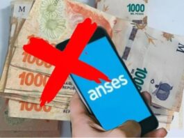Chau bono de Anses: esta es la razón por la cual no lo cobraste en agosto
