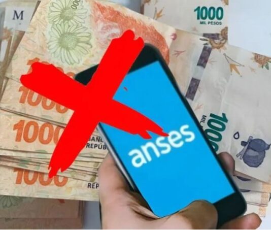 Chau bono de Anses: esta es la razón por la cual no lo cobraste en agosto