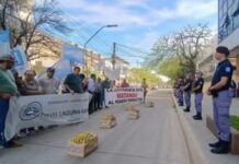 Federación Agraria reclamó una audiencia con Insfrán y advirtió sobre la crisis de los pequeños productores