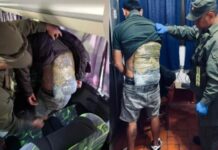 CLORINDA: Detuvieron a un pasajero que transportaba marihuana adosada a la espalda