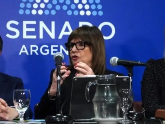 Bullrich presentó los cambios en el proyecto de la Ley de Tierras: «Los estados extranjeros no pueden comprar un gramo»