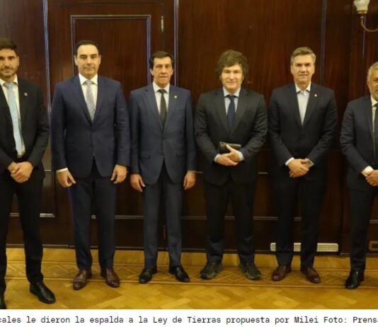 Los radicales fueron clave para que fracase la Ley de Tierras y se debate el rol de la UCR en 2027