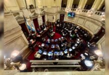 Senado: el Gobierno aprobó la ley de propiedad privada, pero tuvo que quitar otro capítulo