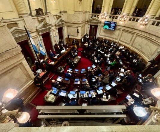 Senado: el Gobierno aprobó la ley de propiedad privada, pero tuvo que quitar otro capítulo