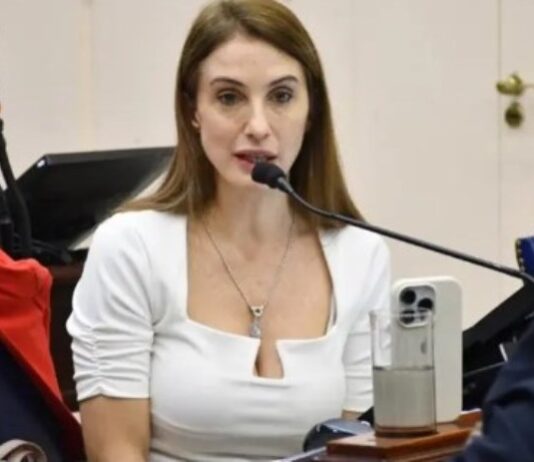 Villaggi denunció un presunto caso de adoctrinamiento político en una escuela privada de Formosa