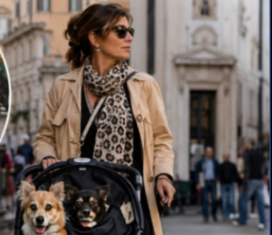 Italia tiene más de 53 millones de mascotas y solo 7,6 millones de niños: el dato que refleja un cambio social