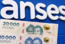 ANSES confirmó el calendario de pagos de agosto 2026: cuándo cobran jubilados, AUH, SUAF, AUE y PNC