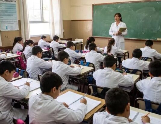 EDUCACIÓN: Solo la mitad de los alumnos de sexto grado alcanza los conocimientos básicos de Lengua y Matemática