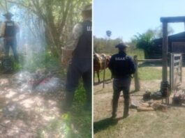 Cnia. SAN JUAN: La Policía recuperó varios bienes sustraídos tras un operativo preventivo en zona rural