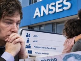 Alerta AUH y asignaciones: Javier Milei busca eliminar los aumentos automáticos