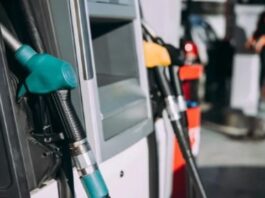 Nafta y gasoil: el Gobierno frenó por un mes la suba de impuestos