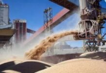 El agro proyecta exportaciones en el mayor nivel de la historia al totalizar US$42.200 millones