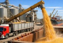 El campo volvió a mover dólares: el agro liquidó US$ 2.750 millones en agosto
