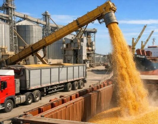 El campo volvió a mover dólares: el agro liquidó US$ 2.750 millones en agosto