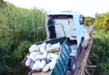MISION TACAAGLE: Camión cargado de batatas cayó al riacho El Porteño.