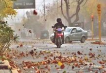 El pronóstico para el jueves: El viento sur provocará un gradual descenso de la temperatura