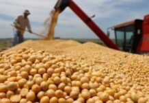 Advierten que 120.000 puestos rurales corren riesgo porque el Gobierno no renovó la compatibilidad con planes sociales