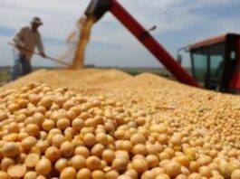 Advierten que 120.000 puestos rurales corren riesgo porque el Gobierno no renovó la compatibilidad con planes sociales