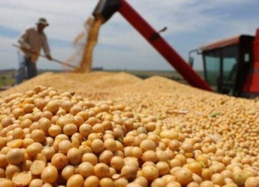 Advierten que 120.000 puestos rurales corren riesgo porque el Gobierno no renovó la compatibilidad con planes sociales