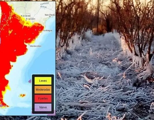El pronóstico para el lunes: Heladas de amplia cobertura para comenzar la semana