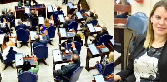 Fuerte cruce en la Legislatura por el rol de supervisores y delegados zonales