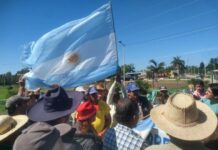 EN EL CAMINO HACIA LA FIESTA DEL POMELO: Productores de Laguna Naineck regalarán 5.000 kilos de banana para visibilizar la crisis del sector