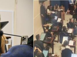 LEGISLATURA PROVINCIAL: La diputada Villaggi de la UCR pidió crear una Fiscalía contra el abigeato y el oficialismo frenó su tratamiento