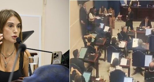 LEGISLATURA PROVINCIAL: La diputada Villaggi de la UCR pidió crear una Fiscalía contra el abigeato y el oficialismo frenó su tratamiento