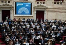 Ley de Discapacidad: el oficialismo logró el apoyo de UxP y se aprobó el proyecto con una mayoría abrumadora
