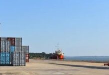 Formosa mal en exportación
