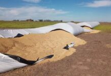 Vandalismo rural: Diputados dio media sanción al proyecto que endurece las penas por daños en el campo