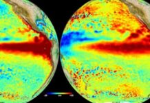 El Niño alcanza su fase más intensa: las alertas de la OEA para América y el impacto en Argentina