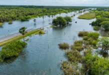 El Niño alcanza su fase más intensa: cuáles serán las zonas más afectadas en la Argentina
