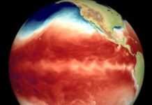 El Niño golpea al mundo con incendios, sequías e inundaciones: advierten que podría intensificarse