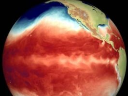 El Niño golpea al mundo con incendios, sequías e inundaciones: advierten que podría intensificarse