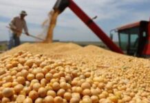 El agro festeja con el Súper Niño, aunque mira con atención los excesos hídricos