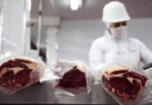 El agro genera el 23% del empleo privado y podría crear 830.000 puestos más