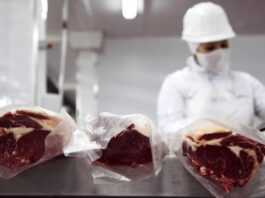 El agro genera el 23% del empleo privado y podría crear 830.000 puestos más