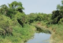 LAGUNA NAINECK: El agua del Riacho El Porteño presenta condiciones aptas para el riego agrícola