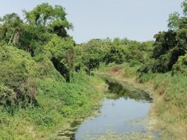 LAGUNA NAINECK: El agua del Riacho El Porteño presenta condiciones aptas para el riego agrícola